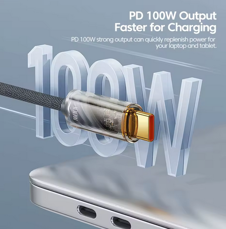Toocki 100 Watt USB C to USB C Charger