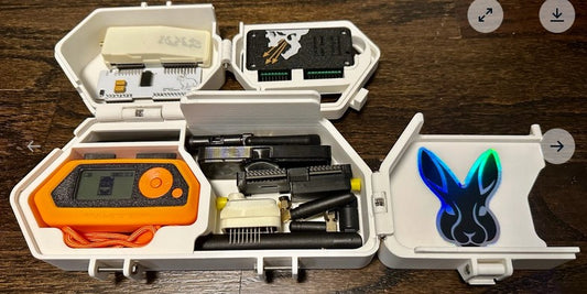 Flipper Zero Flipping Case